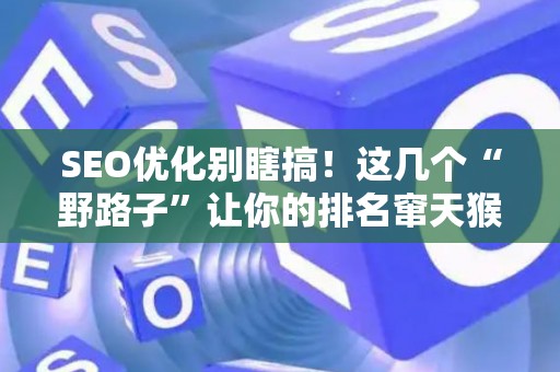 SEO优化别瞎搞！这几个“野路子”让你的排名窜天猴似的往上飙！